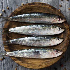 Sardinas