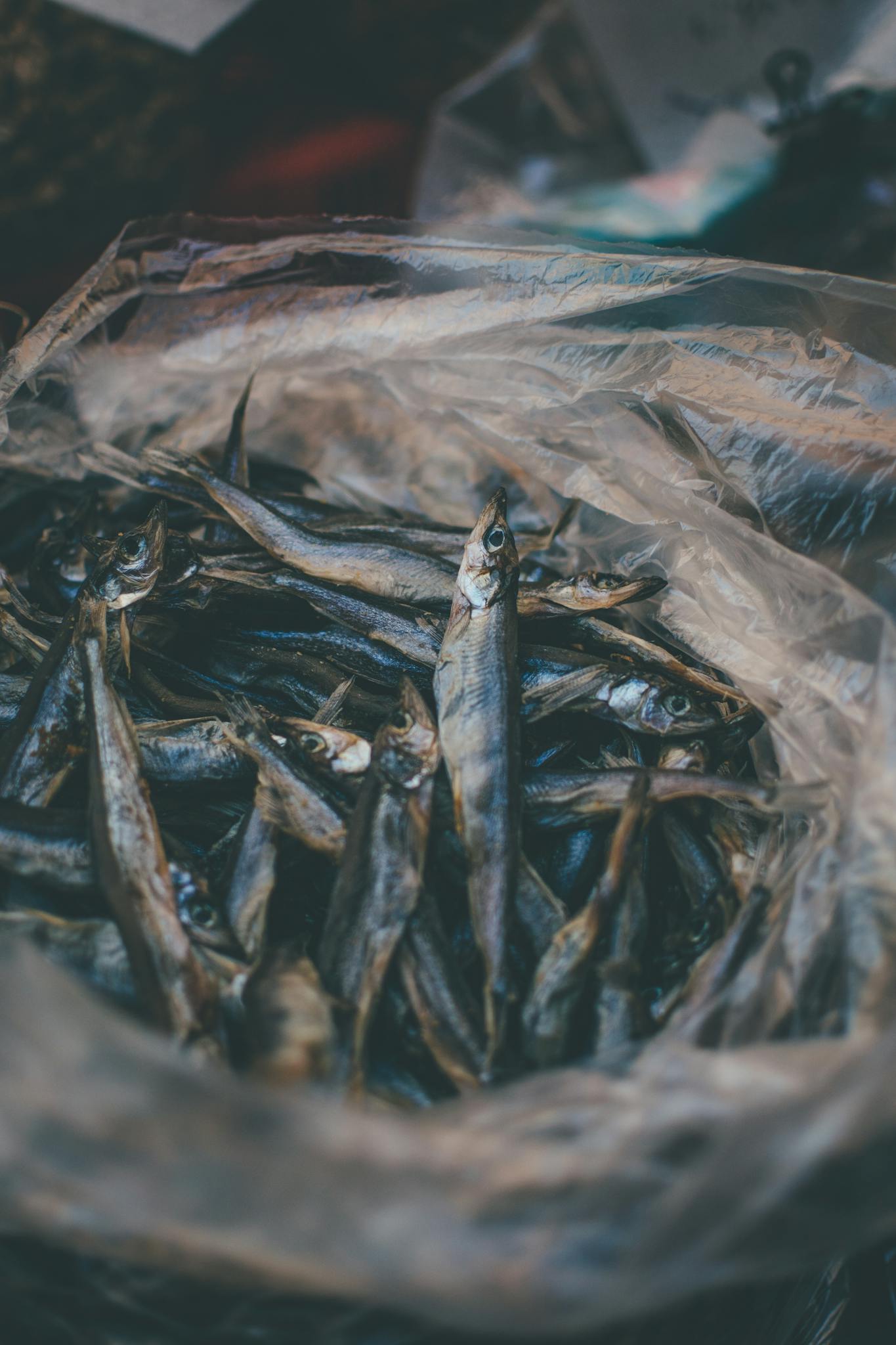 Close-up shot of raw mackerel fish on display in a market, perfect for culinary and seafood themes.