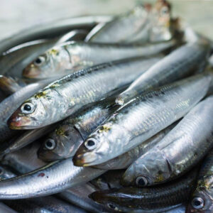 Anchoas